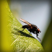 /album/sinipogdemp/photolia-a04-jpg/