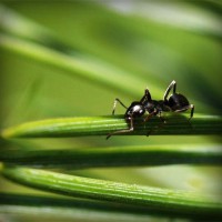 /album/sinipogdemp/photolia-a05-jpg/