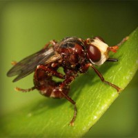 /album/sinipogdemp/photolia-a06-jpg/